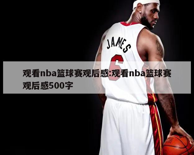 观看nba篮球赛观后感:观看nba篮球赛观后感500字